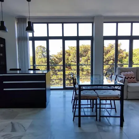 Mina4 Tipo I * 加的斯